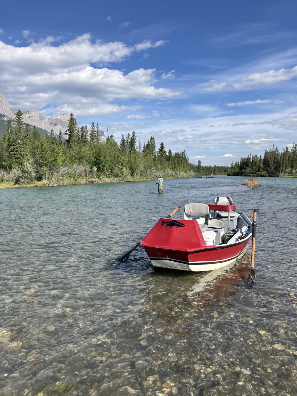 Banff fly fishing | Guided Fly Fishing trips on the rivers of Alberta